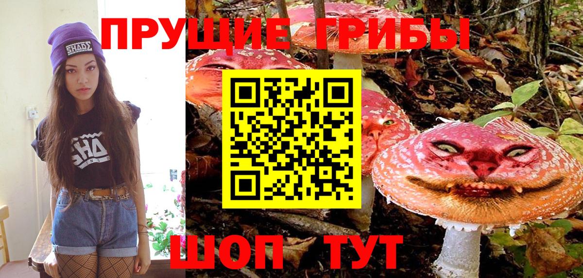 Псилоцибиновые грибы Psilocybe  Вход с VPN  Галлюциногенные грибы Magic Shrooms  где найти наркотики  Кызыл 