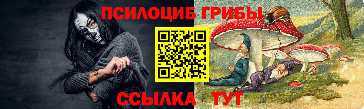 Псилоцибиновые грибы мицелий Кызыл